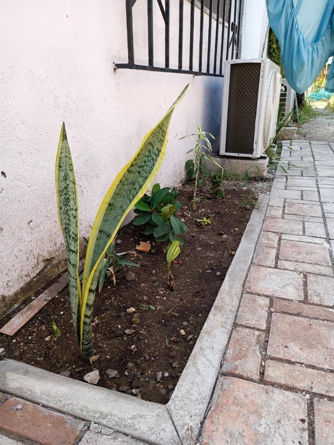 Hostal A 10 Min Del Centro De Veracruz Dış mekan fotoğraf
